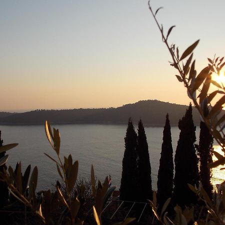 Apartment Matea Zlatni Potok Dubrovnik Kültér fotó